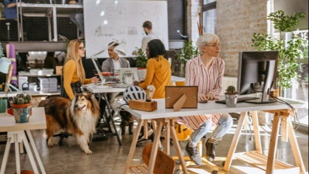 Organization | Transamerica Institute