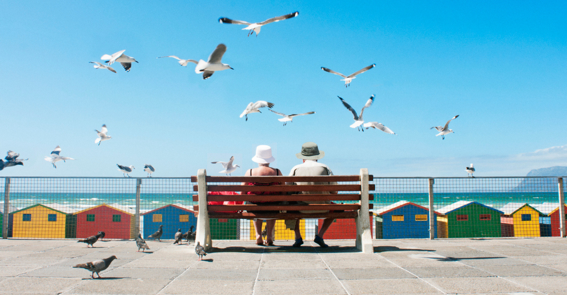 Retiree Report 2024 | 24th Annual Transamerica Retirement Survey 2024